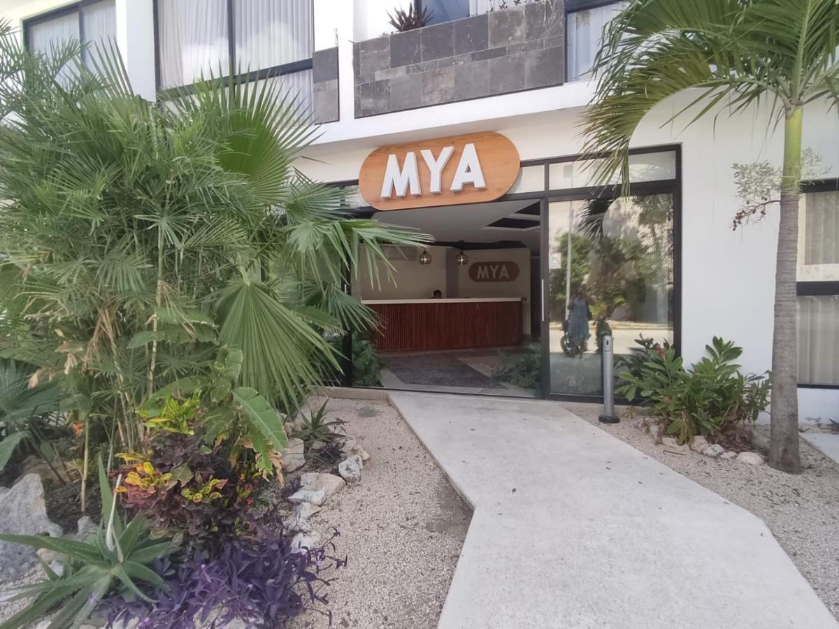 Nuevo Estudio Con Terraza Totalmente Equipado Tulum Aldea Zama Екстериор снимка